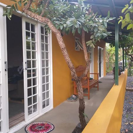 Jardim Da Lila - Um Recanto De Paz Em Alto Paraiso Alto Paraíso de Goiás Buitenkant foto